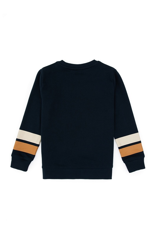 Свитшот и спортивные брюки хлопковые для мальчиков - G083SZ0HF0US2213 Костюм дом. муж. детс. (VR033, 5_6)